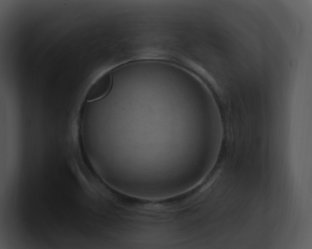 X0000100911463200806241303