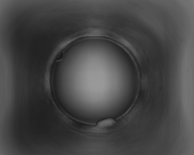 X0000100911464200806241303