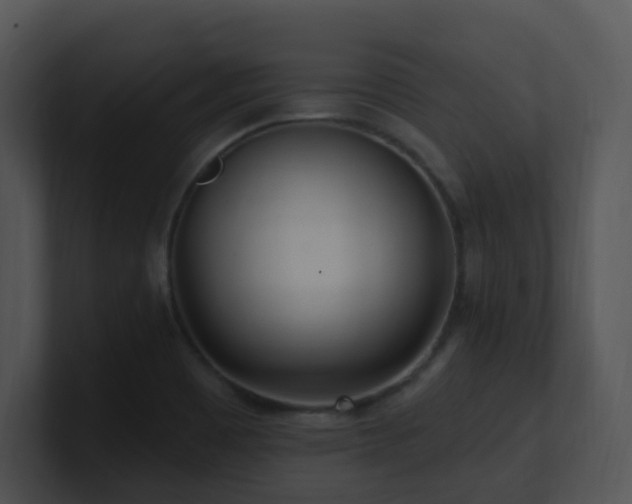 X0000100911465200806241303
