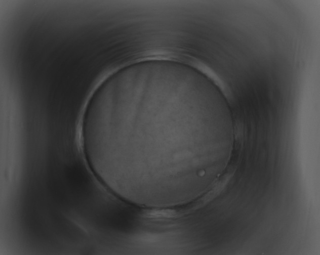 X0000100911466200806241303