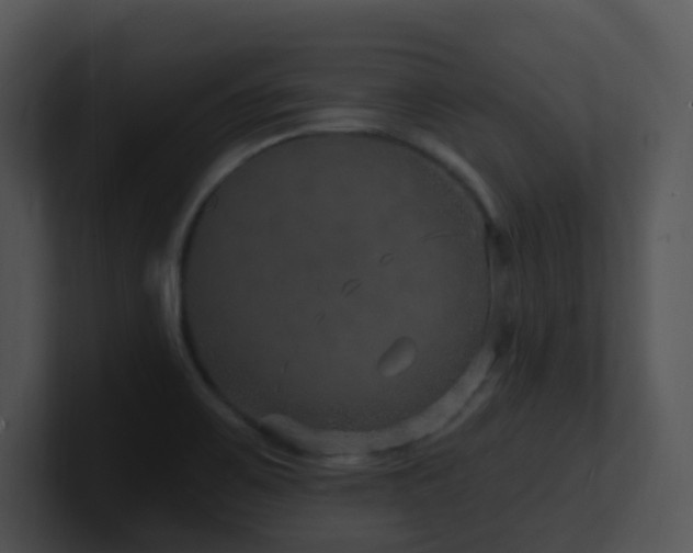 X0000100911467200806241303