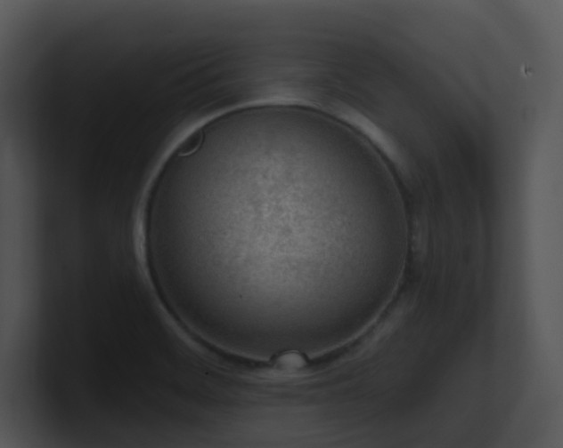 X0000100911468200806241303