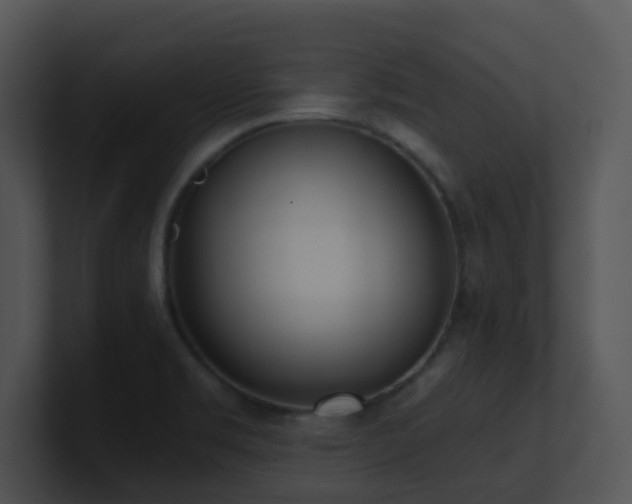 X0000100911469200806241303