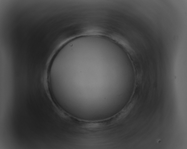 X0000100911470200806241303