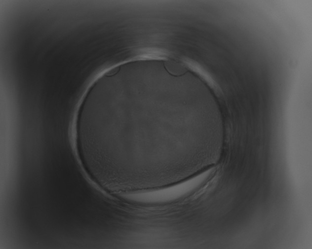 X0000100911471200806241303