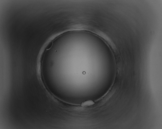 X0000100911472200806241303