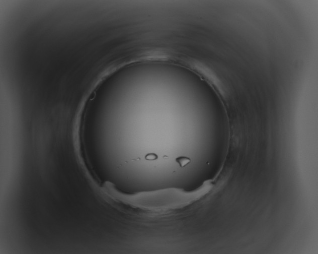 X0000100911475200806241303