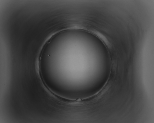 X0000100911476200806241303