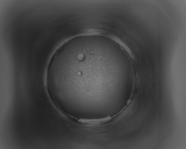 X0000100911477200806241303