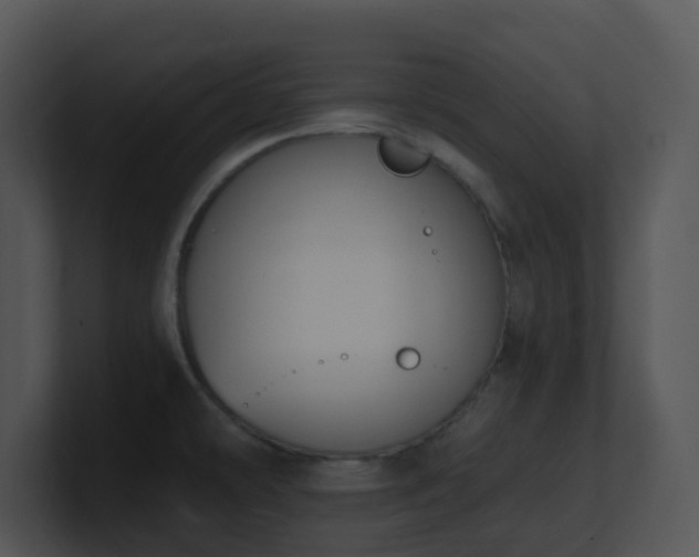 X0000100911478200806241303