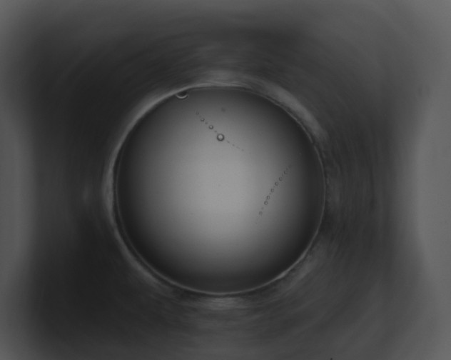 X0000100911479200806241303