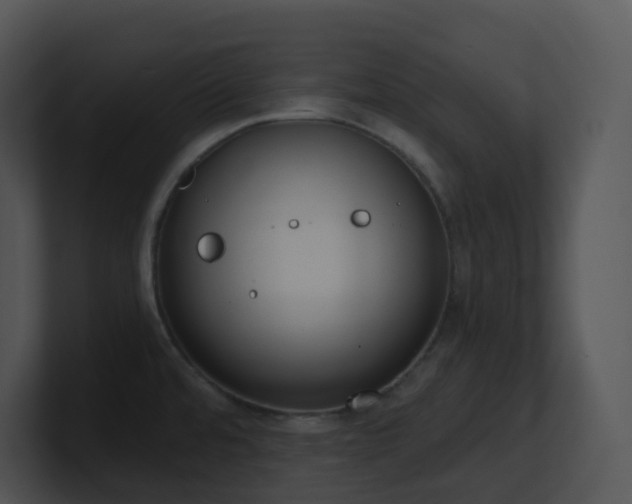 X0000100911480200806241303