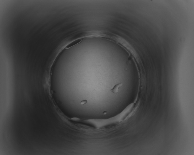 X0000100911481200806241303