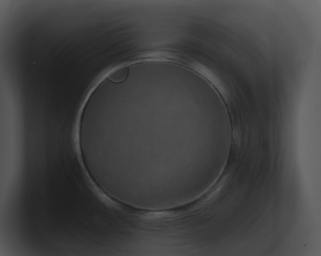X0000100911482200806241303