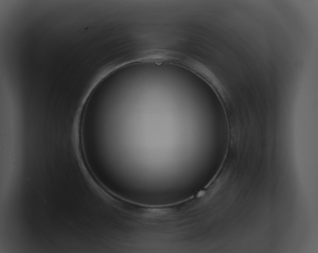 X0000100911483200806241303