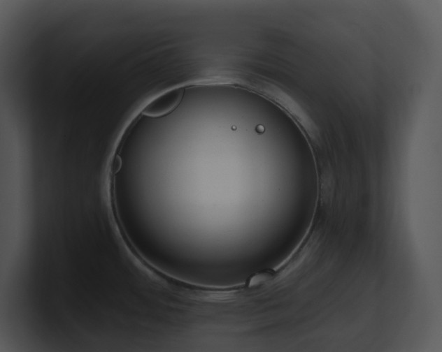 X0000100911484200806241303