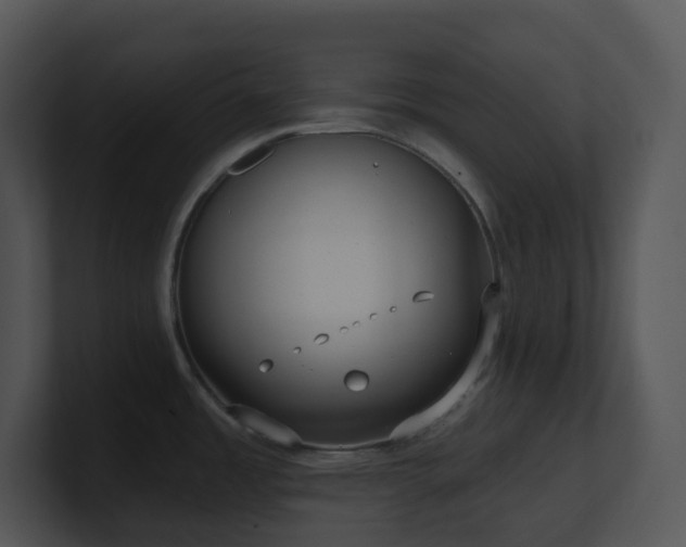 X0000100911485200806241303