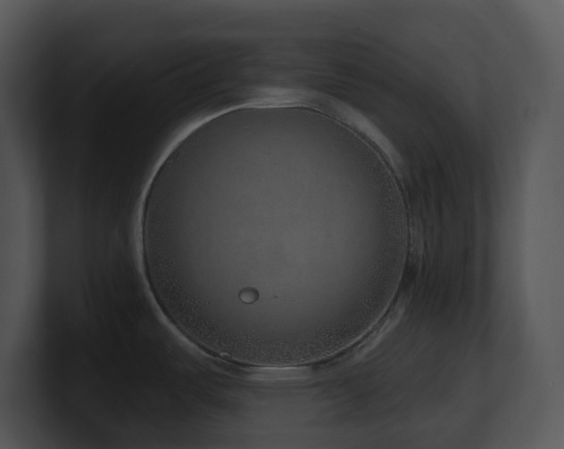 X0000100911487200806241302