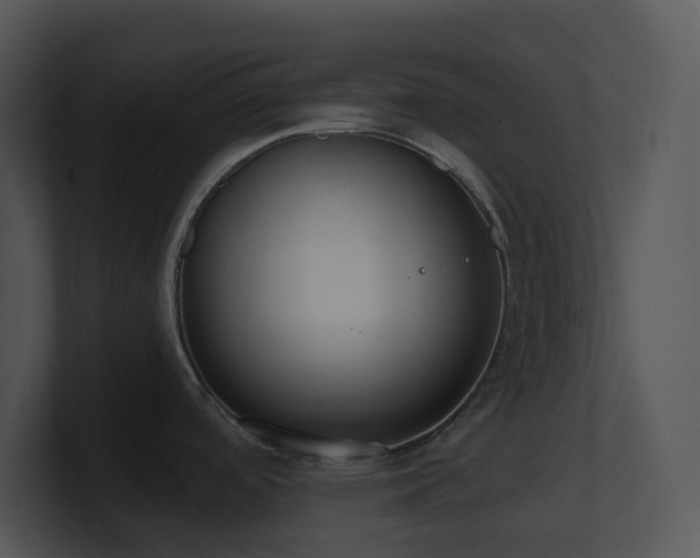 X0000100911488200806241302