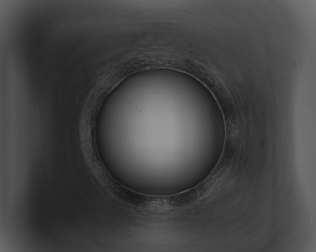 X0000100911489200806241302