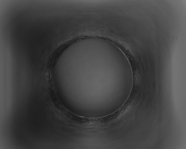 X0000100911494200806241302