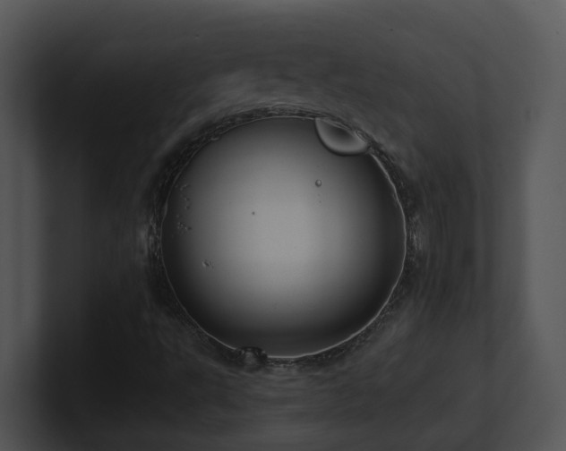 X0000100911495200806241302