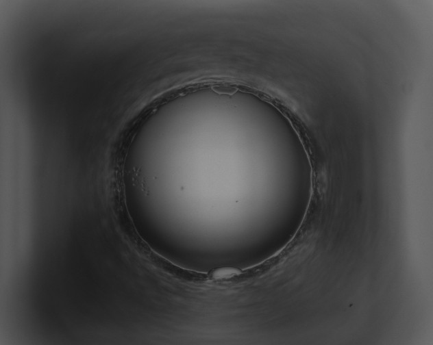 X0000100911496200806241302