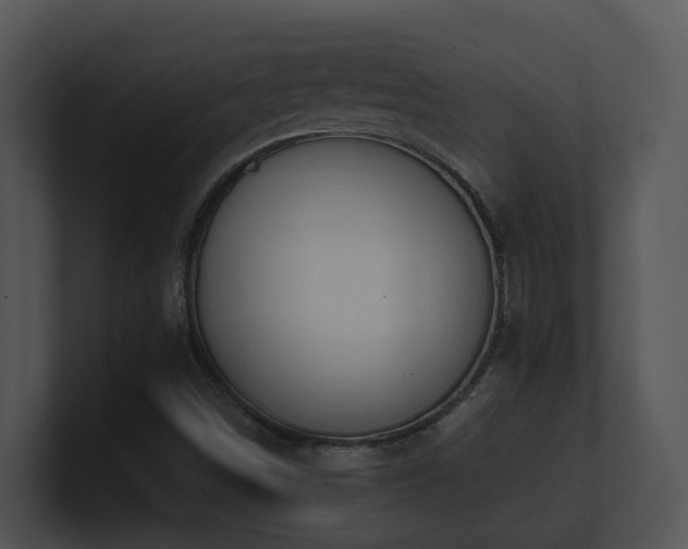 X0000100911498200806241302