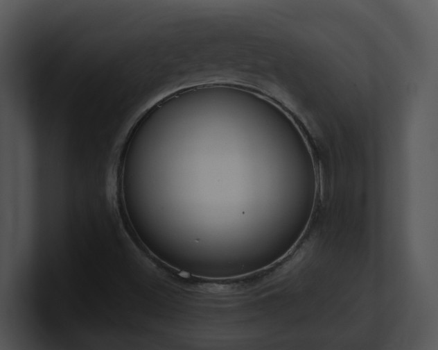 X0000100911500200806241302
