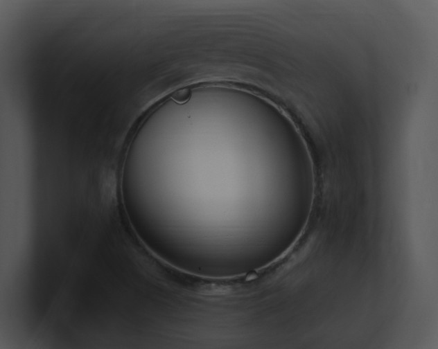 X0000100911505200806241302