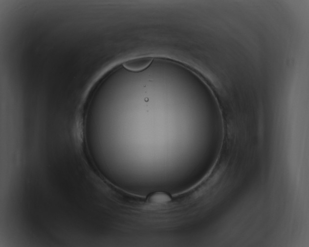 X0000100911510200806241302