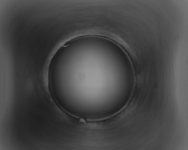 X0000100911512200806241302