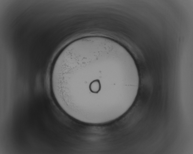 X0000100911514200806241302