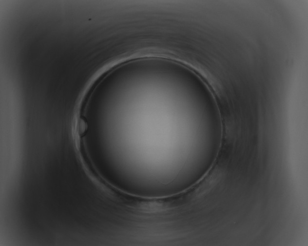 X0000100911515200806241302