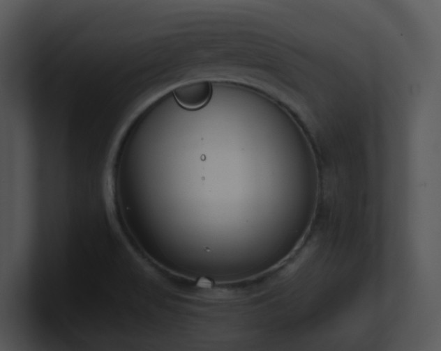 X0000100911517200806241302