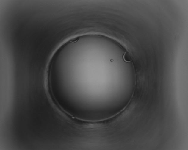 X0000100911518200806241302