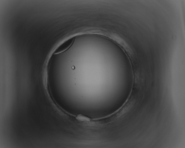 X0000100911520200806241302