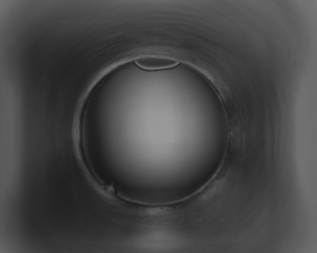 X0000100911523200806241302