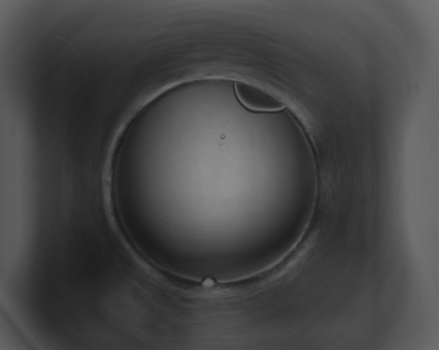X0000100911525200806241302
