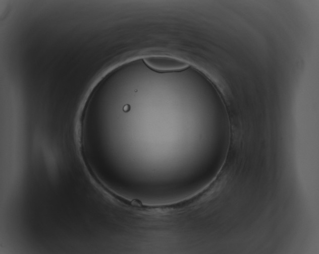 X0000100911527200806241302