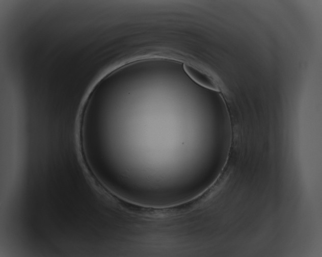X0000100911530200806241302