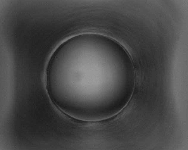 X0000100911531200806241302
