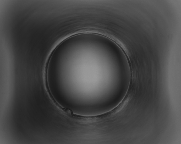 X0000100911533200806241302