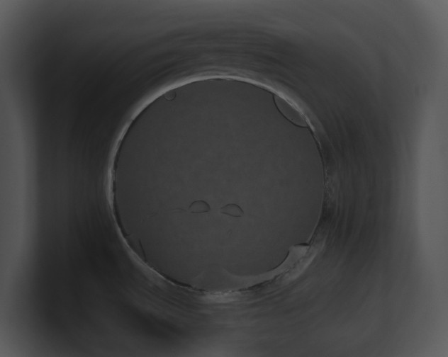 X0000100911535200806241302