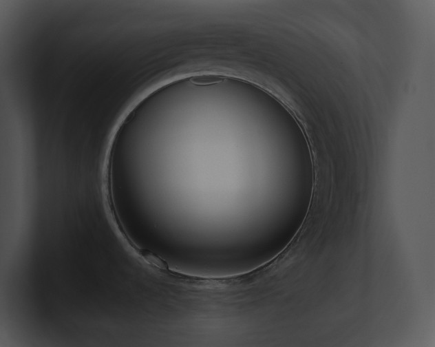 X0000100911536200806241302