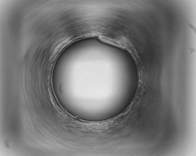 X0000100910001200807011254
