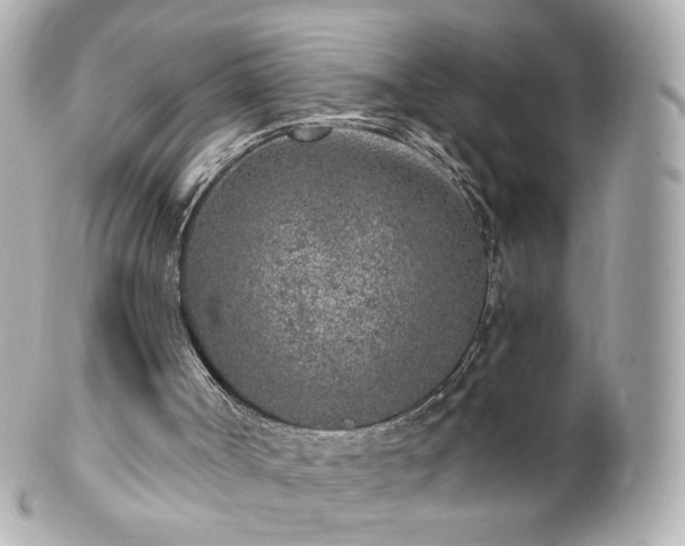 X0000100910002200807011254