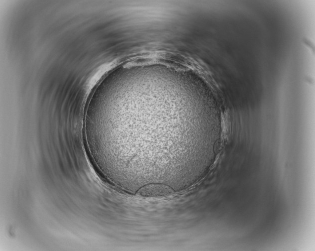 X0000100910003200807011254