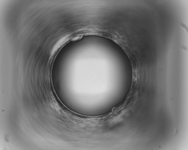 X0000100910004200807011254