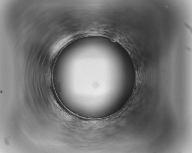 X0000100910005200807011254